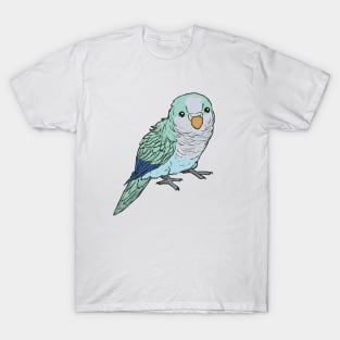 Light blue and turquoise quaker T-Shirt